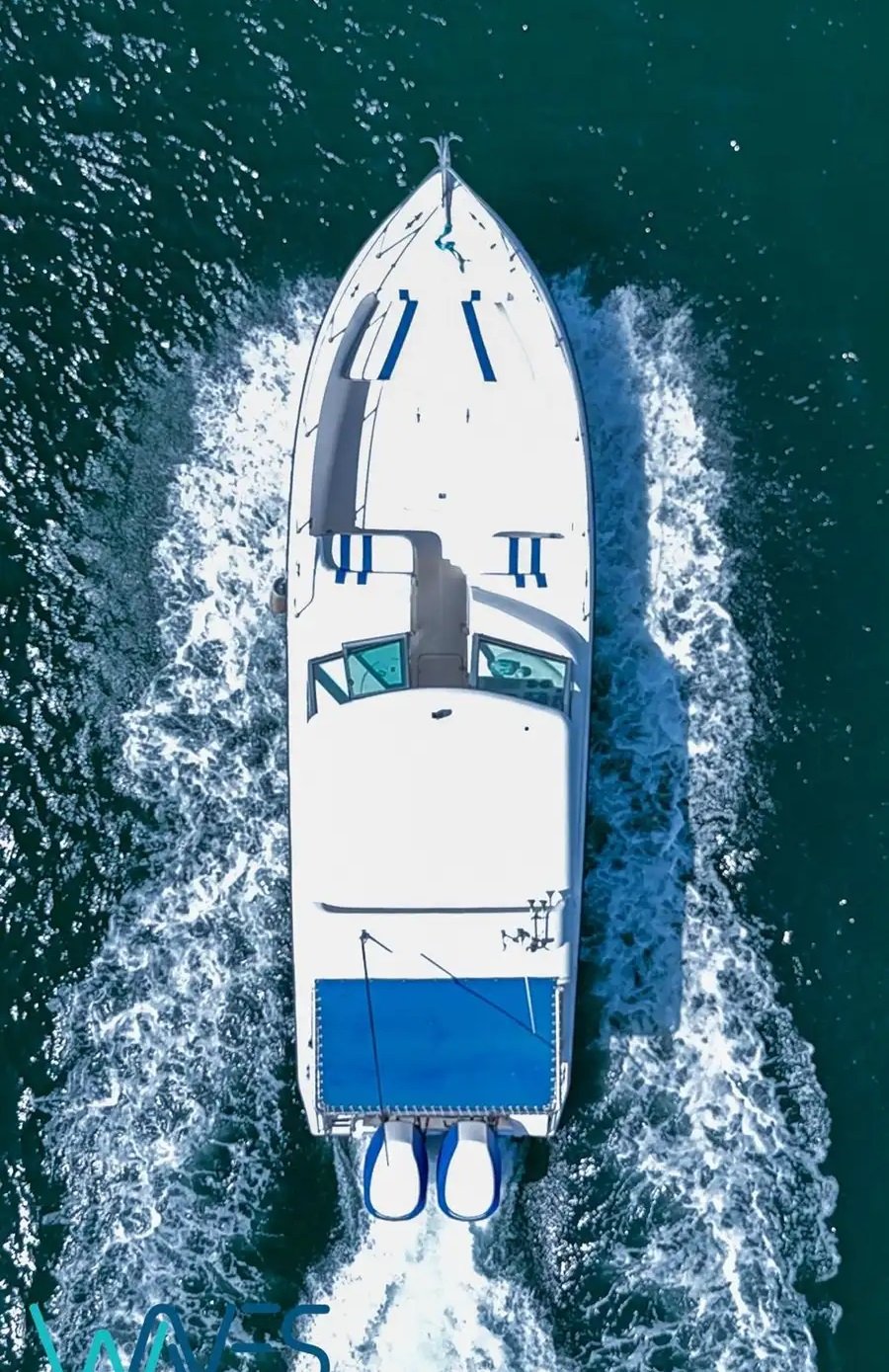 قارب دولفين 31 قدم