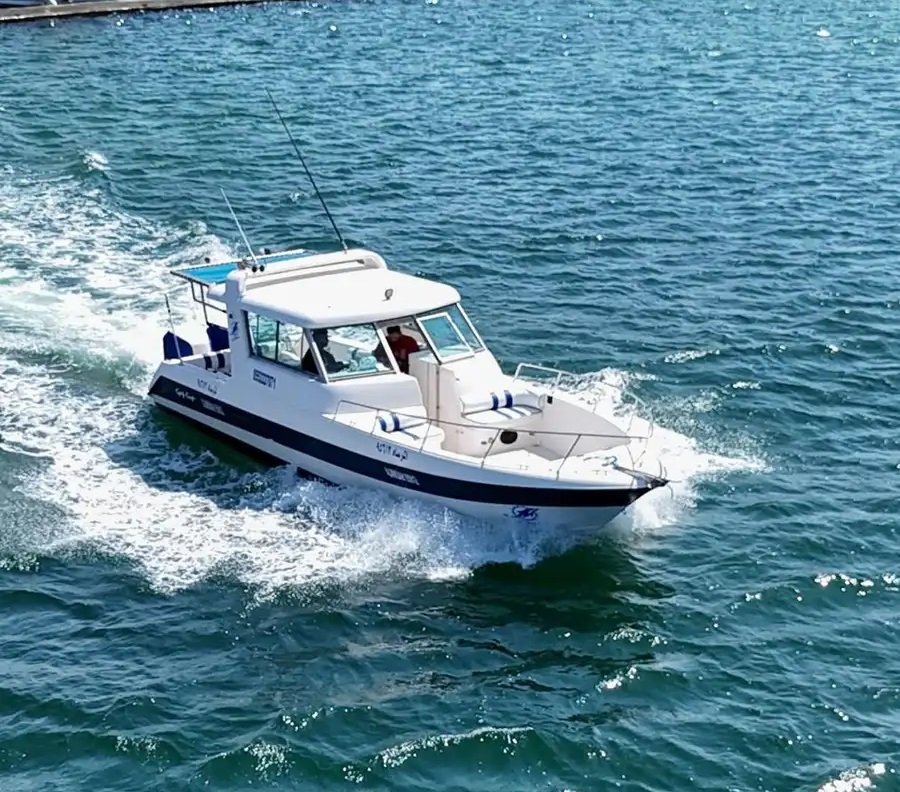 قارب دولفين 31 قدم