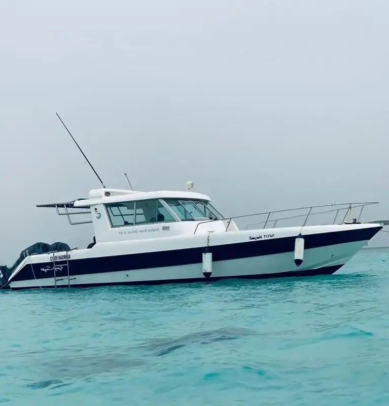 قارب دولفين 31 قدم