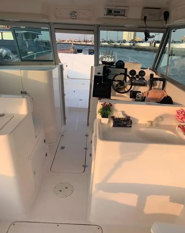 قارب دولفين 31 قدم