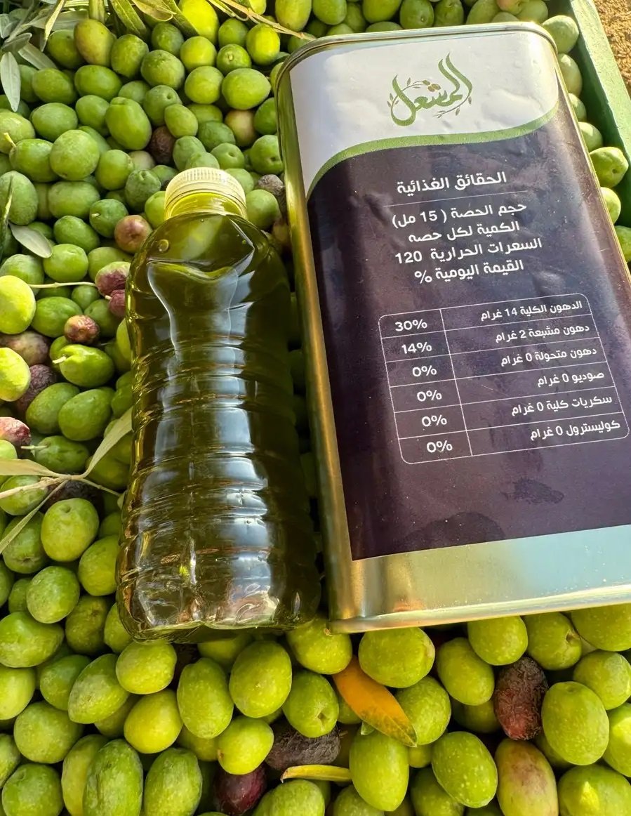 زيت زيتون الجوف شفاء وغذاء