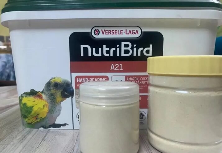 سيريلاك فرسلاقاA21