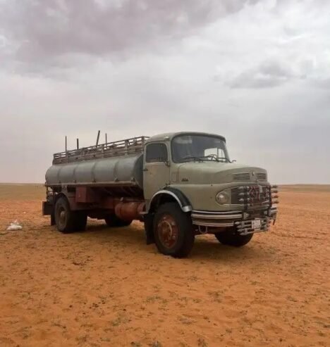عايدي 81