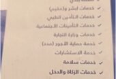 خدمات الكترونية