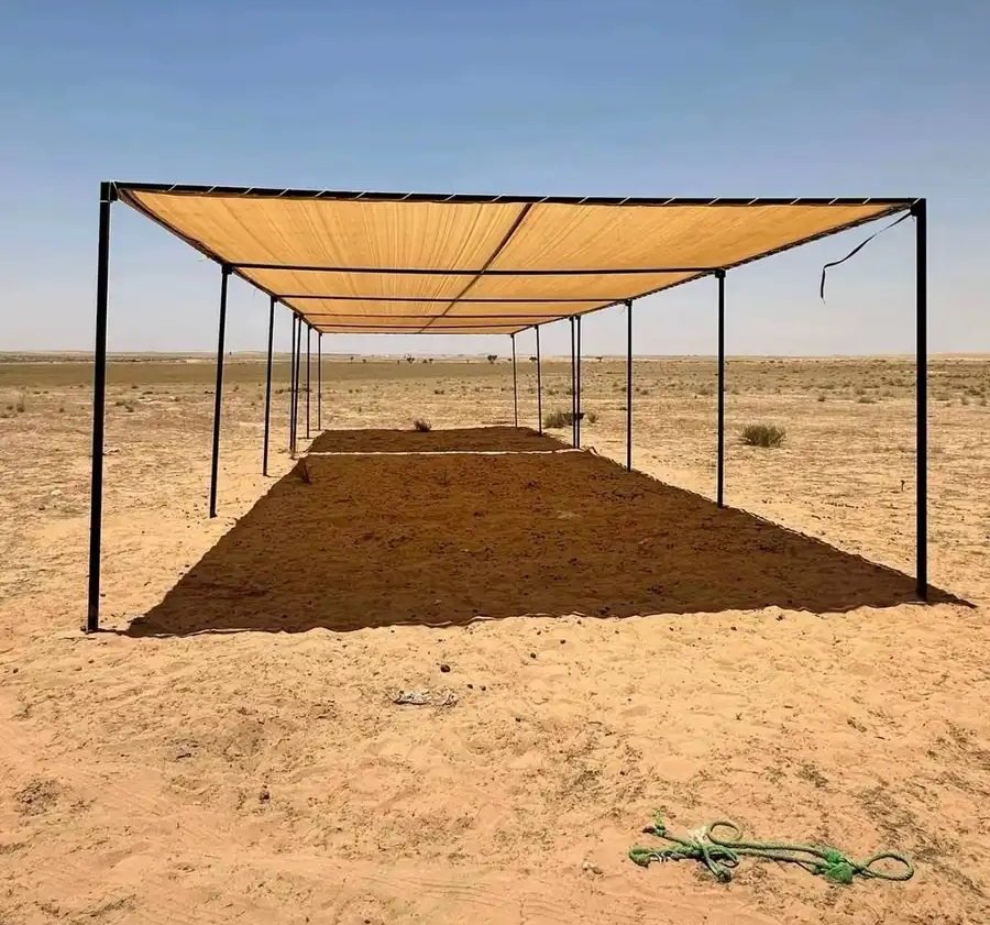 مضلات الابل مضلات الأغنام