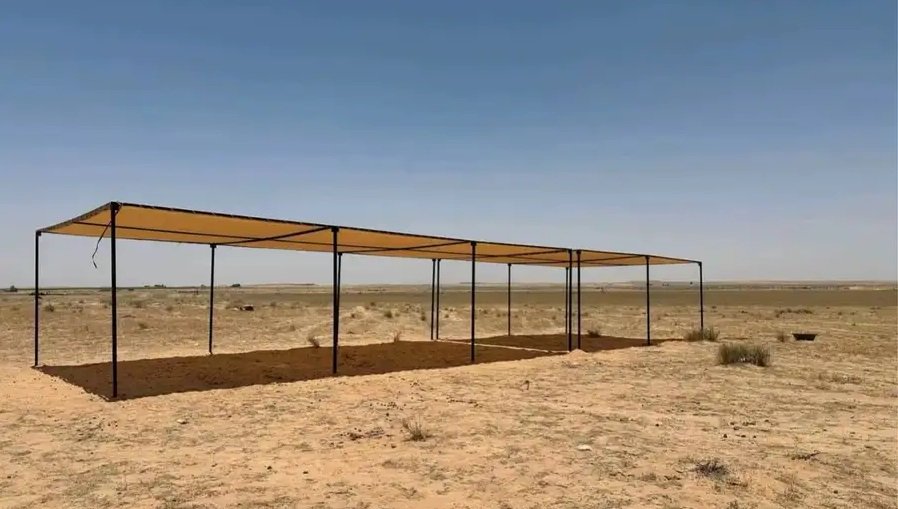 مضلات الابل مضلات الأغنام