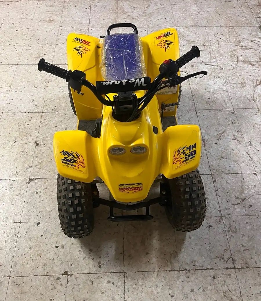 دباب تايواني