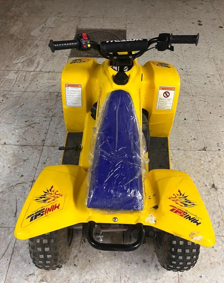 دباب تايواني