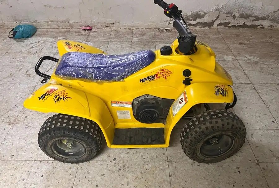 دباب تايواني