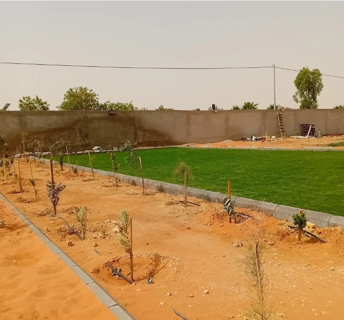 مشتل زهره القصر