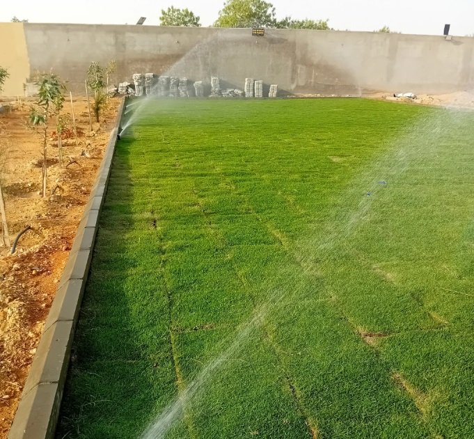 مشتل زهره القصر