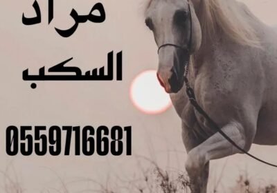 461b3a527e554bf9e0d2ec443151dc7aea684ed9c7c7eccfe0d4469a41f157ca4