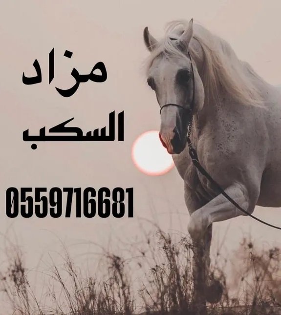 مزاد خيول للبيع