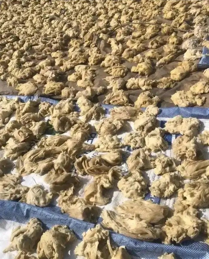 عجين ناشف مملح