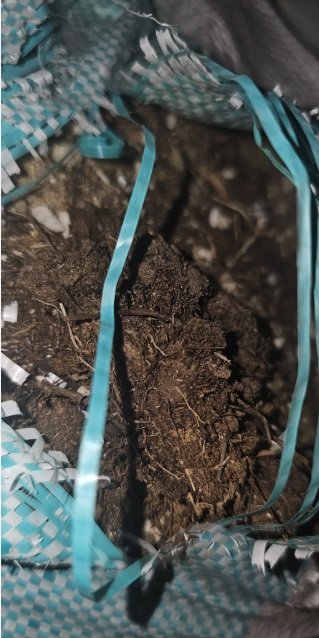 تربة زراعية