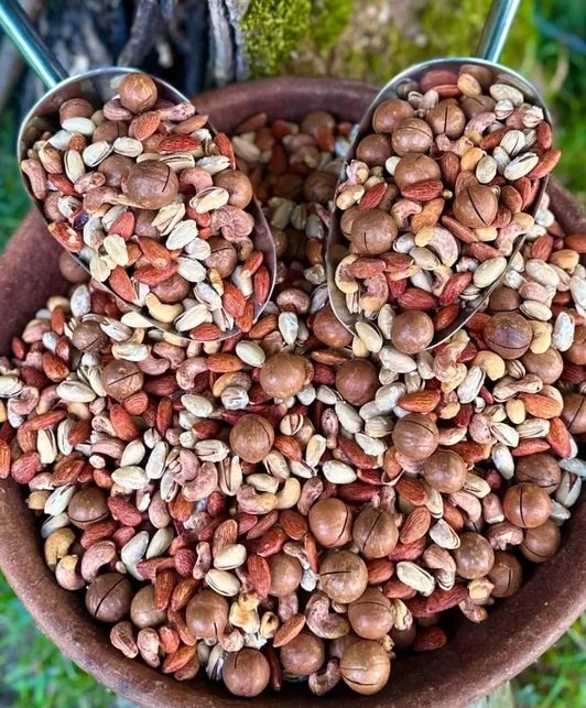 المكسرات ذات أفضل المذاق والجودة