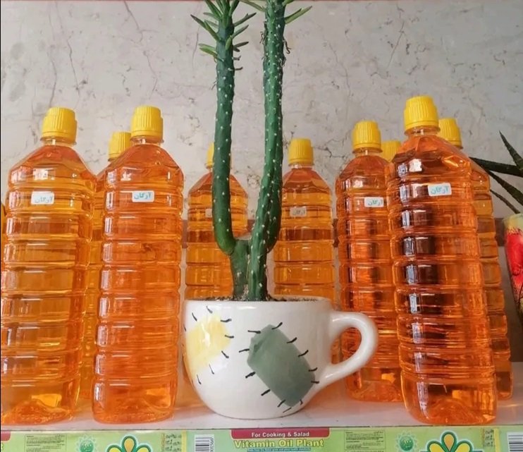 Argan oil of Moroccan origin