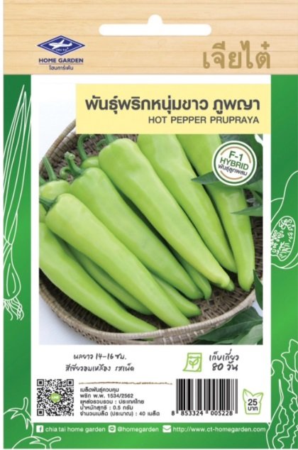 بذور الفلفل الحار