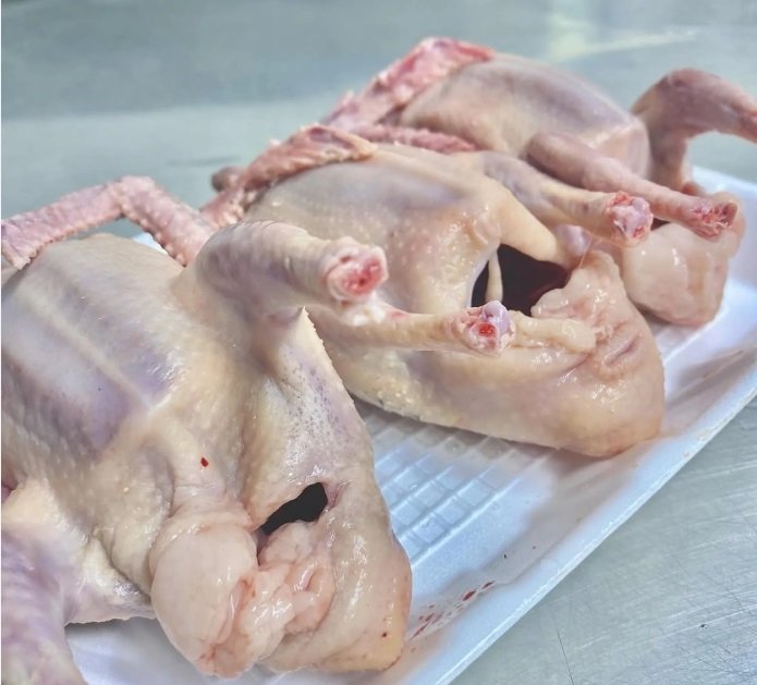 دواجن حمام وبط وديوك طازجه ومذبوحه ومنظفه