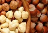 بندق طازج وطبيعي عالي الجودة