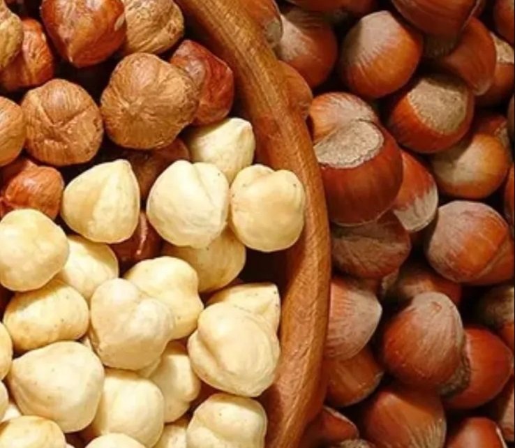 بندق طازج وطبيعي عالي الجودة