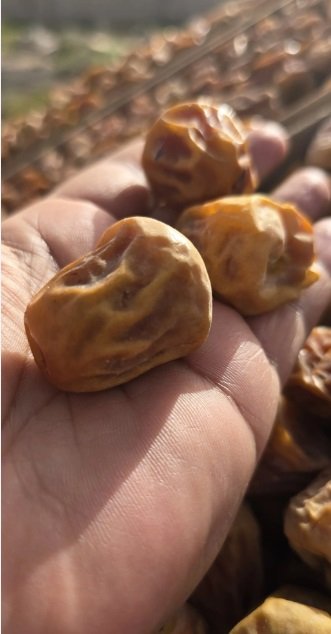 سكري مفتل للبيع