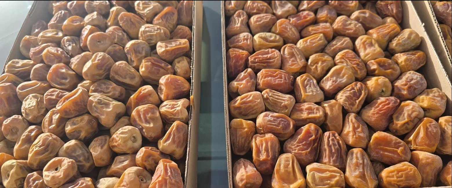 سكري مفتل للبيع