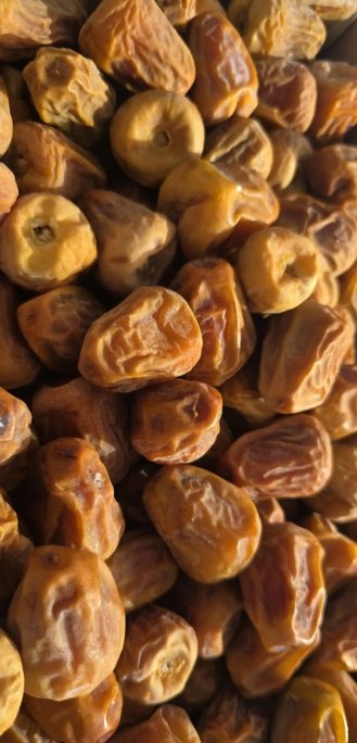 سكري مفتل للبيع