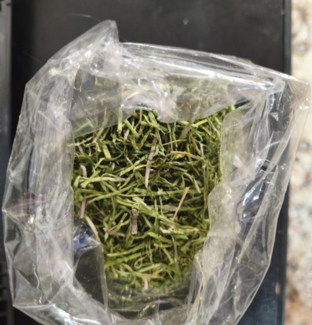 بوسور، كسار الحصوة بتاعة الكلى