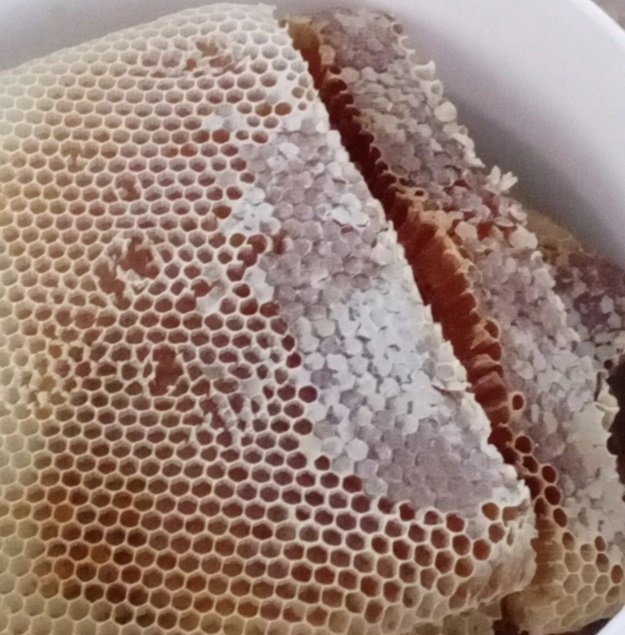 عسل سدر اصلي انتاج سنوي دوعني حاصل على تصنيف رقم (1) في العالم