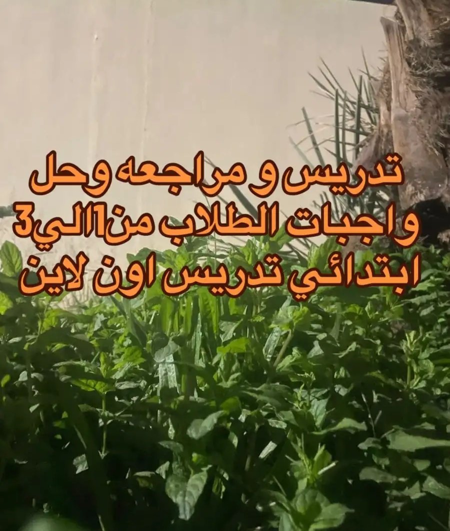 تدريس اون لاين