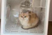 UCAT Pet Drying Box – Smart, Silent, Compact Dryer for Cats and Small Dogs