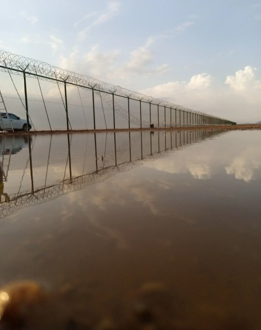 توريد وتركيب الشبوك والنخيل باجود الأسعار