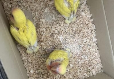 Untitled990123456789012345601234501234560123