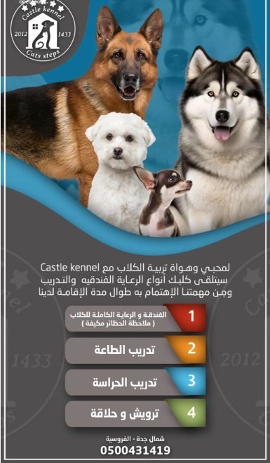 فندقة وتدريب كلاب