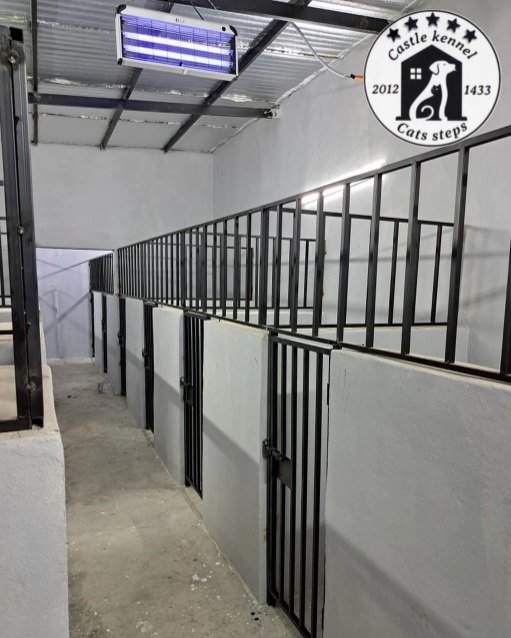 فندقة وتدريب كلاب