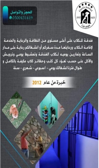 فندقة وتدريب كلاب