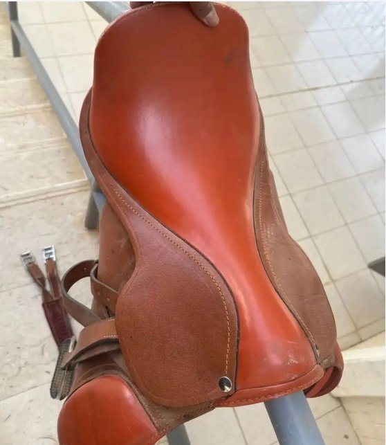 سرج مع بطانه وركابات جدد