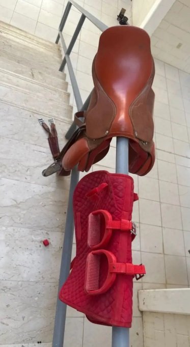 سرج مع بطانه وركابات جدد