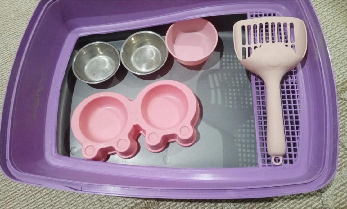 اغراض قطط للبيع