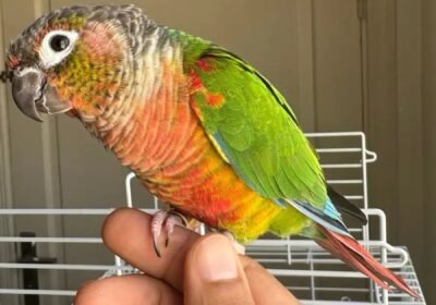 1012x1800_4477D094-3E17-47CC-B014-71BFE90E3F8E.jpg-900