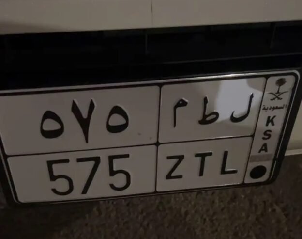 لوحه مميزه للبيع