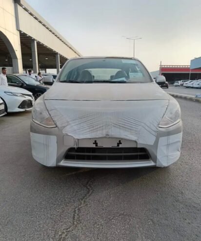 صني 2024 اصفار
