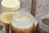 عسل سدر جبال رجال ألمع اذا طلع مغذى فلوسك ترجع