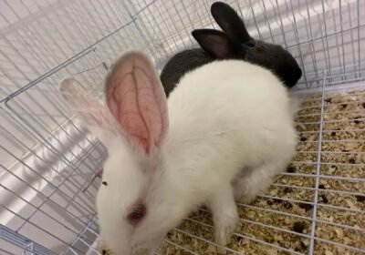 1350x1800_D87643E4-9143-4B9A-8875-B169DA48BC03.jpg-900