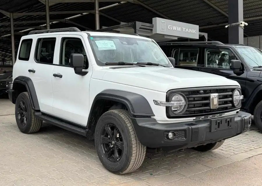 تانك 300 فل كامل 2025 عروض خاصه على الكاش والتمويل