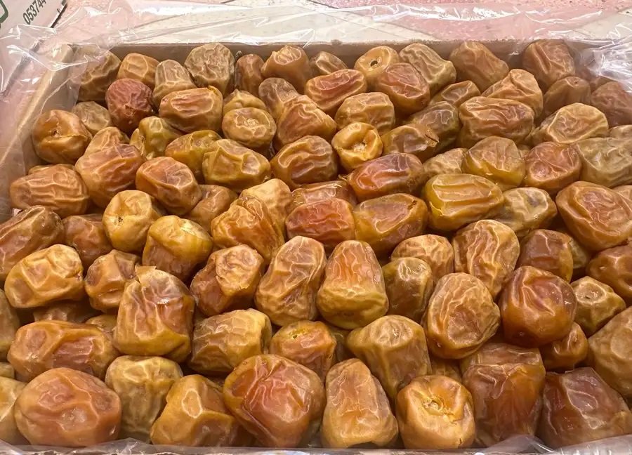تمر سكري انتاج السنه 36 ريال