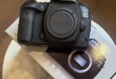 كاميره كانون احترافيه D5 mark IV