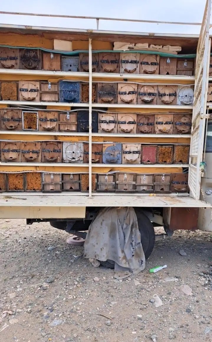 عسل سمره طبيعي طازج بشمع 100 انتاج هذا الاسبوع