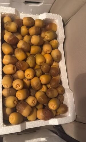 روثانه شب فاخر فاخر فاخر